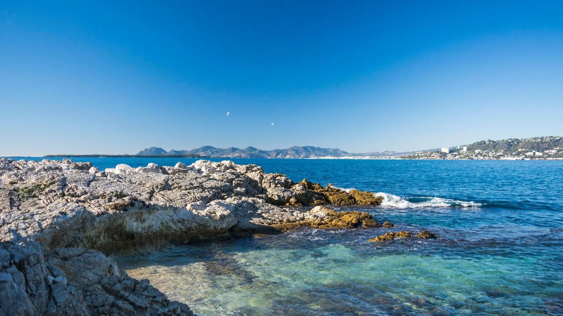 Le Juanais Cote D'Azur - Parking Prive Apartment